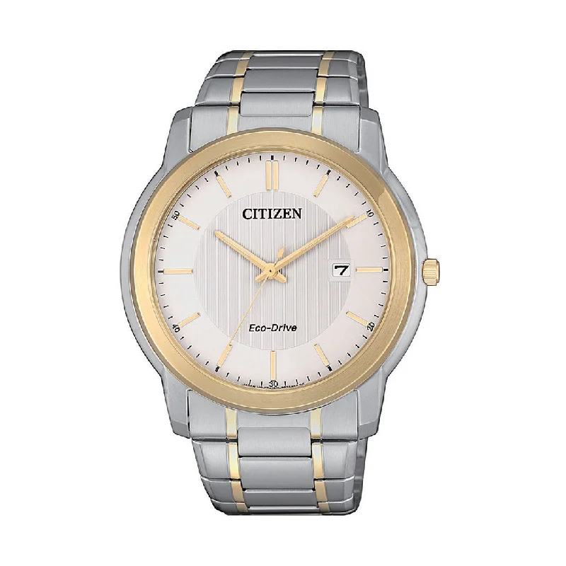 Citizen Mens Eco Drive Watch AW1216-86A