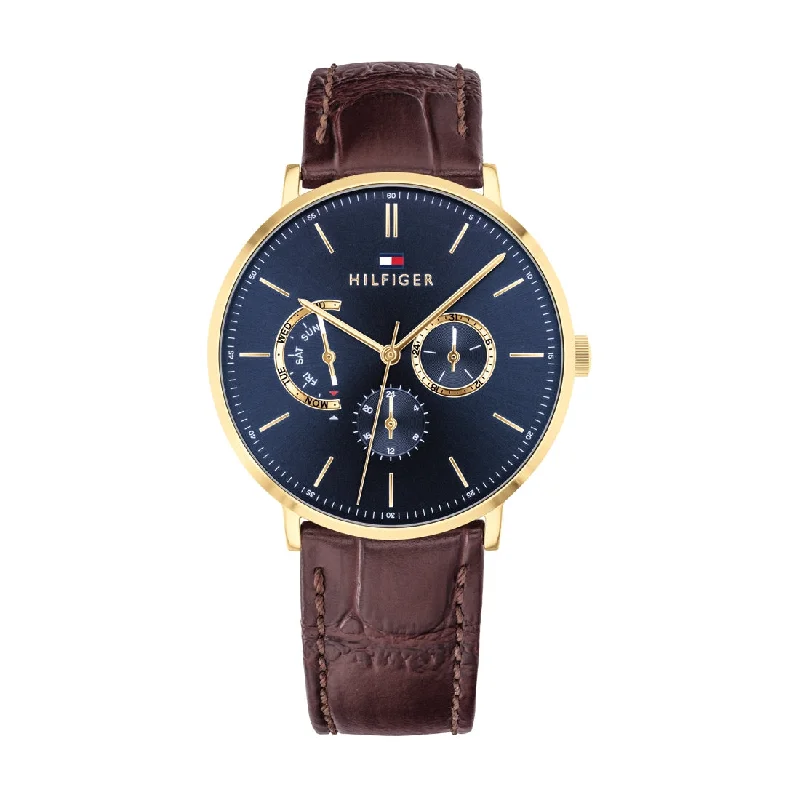 Tommy Hilfiger Dane Men's Watch 1710376